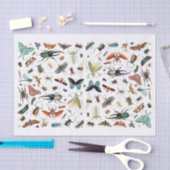 Insecten en vlinders  boekillustratie tissuepapier (Craft)