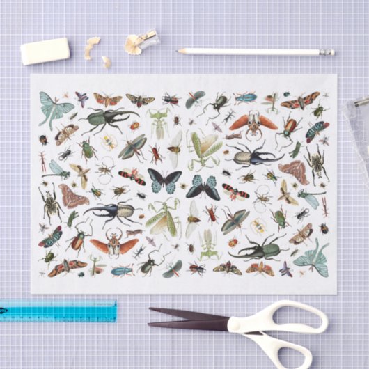 Insecten en vlinders  boekillustratie tissuepapier (Craft)