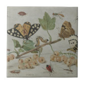 Insecten en vruchten tegeltje (Voorkant)