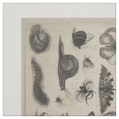  Insecten Entomologie Lepidoptera Bosbouw Stof (Swatch)