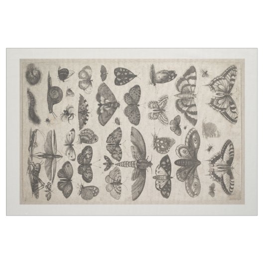  Insecten Entomologie Lepidoptera Bosbouw Stof (Fat Quarter)