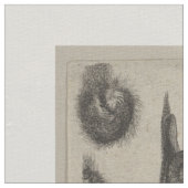  Insecten Entomologie Lepidoptera Bosbouw Stof (Close Up)