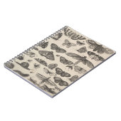 Insecten Entomologie Lepidoptera Veldnoten Notitieboek (Linkerzijde)