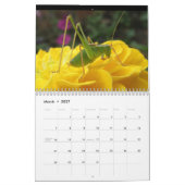 Insecten gepersonaliseerde kalender (Mar 2027)