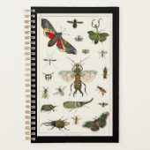 insecten, insecten, natuur, vlinder, insecten, bij planner (Voorkant)