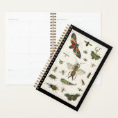 insecten, insecten, natuur, vlinder, insecten, bij planner (Display)