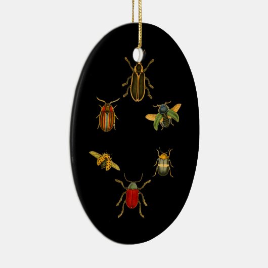 Insecten Keramisch Ornament (Rechts)