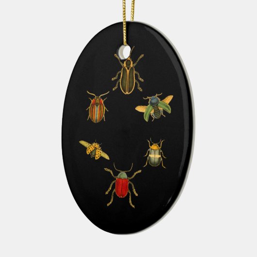 Insecten Keramisch Ornament (Links)