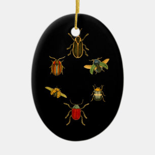 Insecten Keramisch Ornament