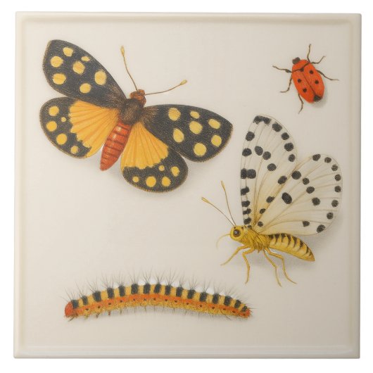 Insecten Keramische Tegel Tegeltje (Voorkant)
