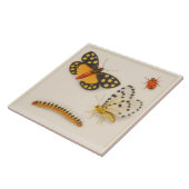 Insecten Keramische Tegel Tegeltje (Zijkant)