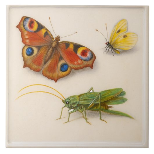  Insecten Keramische Tegel Tegeltje (Voorkant)