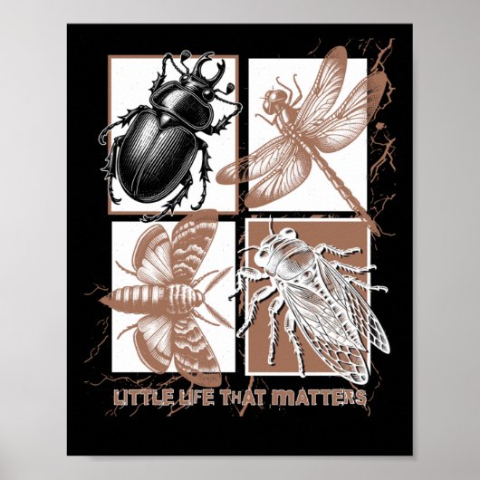 insecten - kever poster (Voorkant)