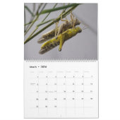 Insecten Macro's 2024 Kalender (Mar 2026)
