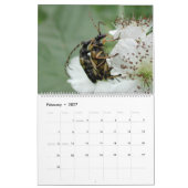 Insecten Macro's 2024 Kalender (Feb 2027)