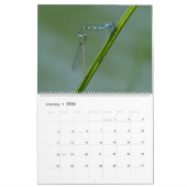 Insecten Macro's 2024 Kalender (Jan 2026)