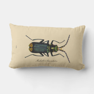  Insecten Malachietkever Entomologie Revers Kussen