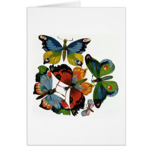 insecten of buiken, mooie buikvlies