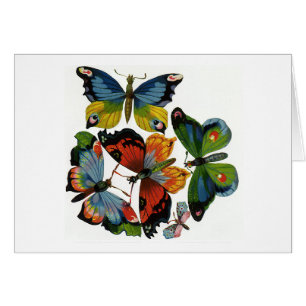 insecten of buiken, mooie buikvlies