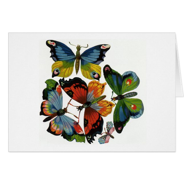  insecten of buiken, mooie buikvlies (Voorkant Horizontaal)