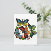 insecten of buiken, mooie buikvlies briefkaart (Staand voorkant)