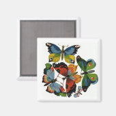 insecten of buiken, mooie buikvlies magneet (Voorkant / Achterkant)