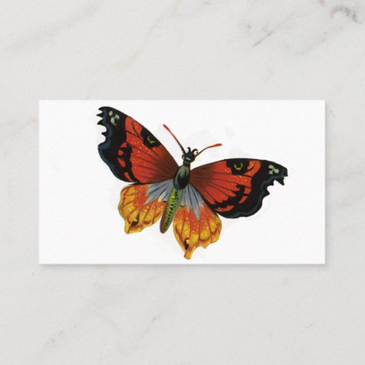  insecten of buiken, mooie vlinder visitekaartje (Achterkant)