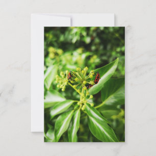 insecten op groen kaart