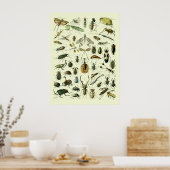 Insecten Poster (Keuken)