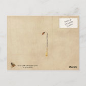 Insecten, schelpen en vlinders briefkaart (Achterkant)