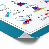 Insecten School Onderwijs Leren Poster (Hoek)