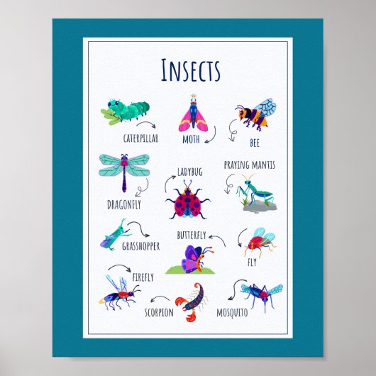 Insecten School Onderwijs Leren Poster (Voorkant)
