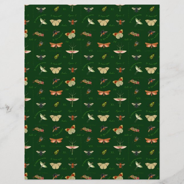  Insecten Scrapbook Paper Forest Green (Voorkant)