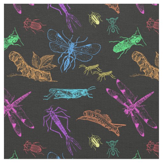 Insecten! Stof (Close Up)
