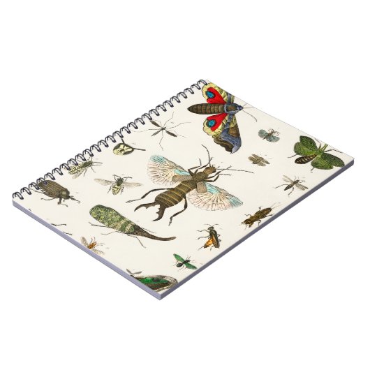 insecten uit A geschiedenis van de aarde Notitieboek (Linkerzijde)