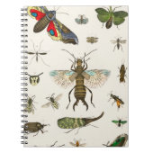 insecten uit A geschiedenis van de aarde Notitieboek (Voorkant)
