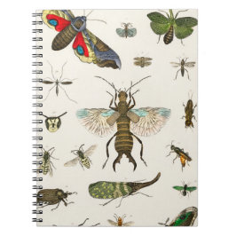 insecten uit A geschiedenis van de aarde Notitieboek