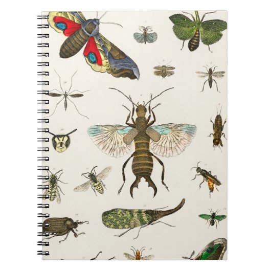 insecten uit A geschiedenis van de aarde Notitieboek (Voorkant)