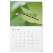 Insecten van de maandelijkse kalender (Mar 2026)