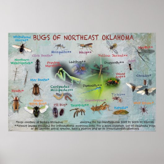 insecten van het noordoostelijk poster van Oklahom (Voorkant)