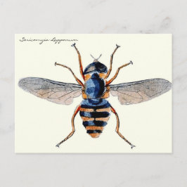  Insecten vliegen wetenschappelijke Entomologie Briefkaart