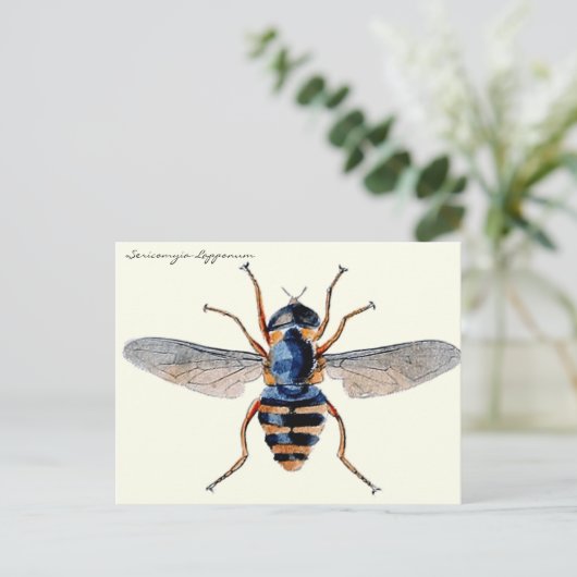  Insecten vliegen wetenschappelijke Entomologie Briefkaart (Staand voorkant)