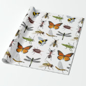 INSECTEN VOOR Wrapping Papier (Uitgerold)