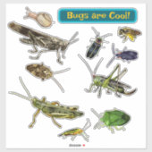 Insecten zijn Cool! Insecten Sticker (Vel)