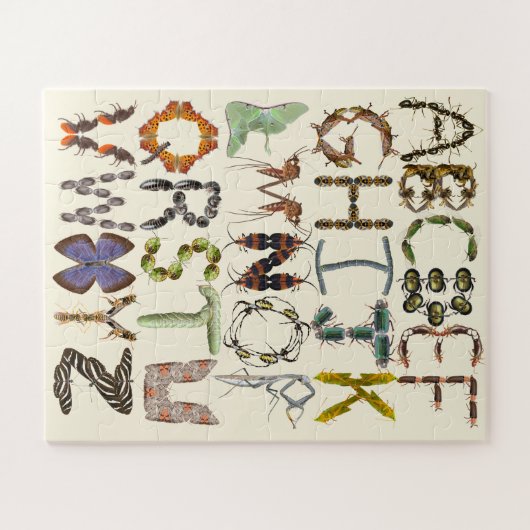 Insectenalfabet - alfabetbeestjes legpuzzel (Horizontaal)