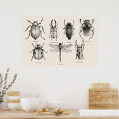 Insectendiagram II Poster (Keuken)