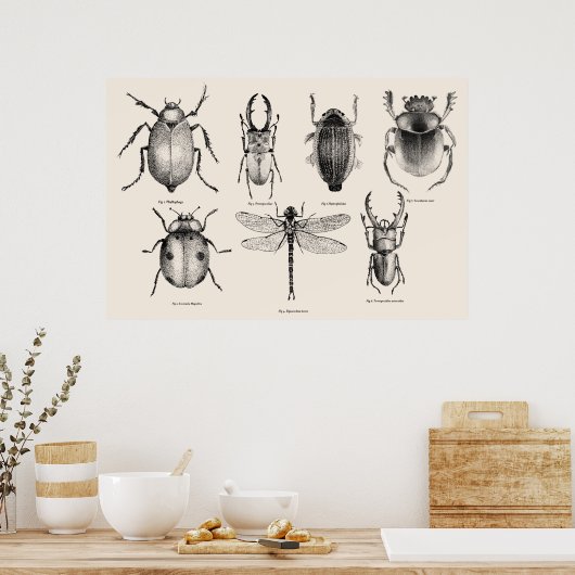 Insectendiagram II Poster (Keuken)