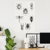 Insectendiagram Poster (Thuiskantoor)