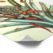 Insectengeneraties Bord 1 Poster (Hoek)