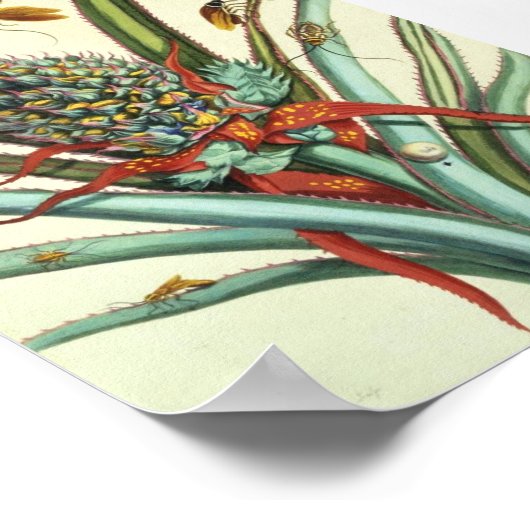 Insectengeneraties Bord 1 Poster (Hoek)